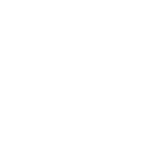 Google Partner logo
