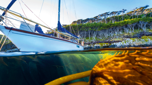 Kelp forests can tangle in the propeller.